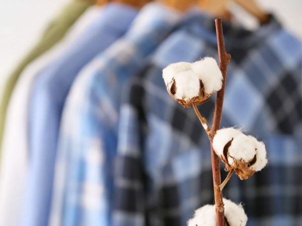 Qual a malha mais fresca?